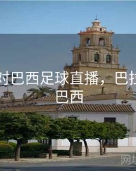巴垃圭对巴西足球直播，巴拉圭对阵巴西
