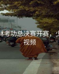 全球少林考功总决赛开赛，少林比赛视频
