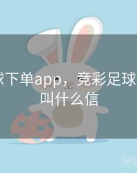 竞彩足球下单app，竞彩足球下单app叫什么信