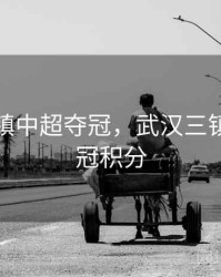 武汉三镇中超夺冠，武汉三镇中超夺冠积分