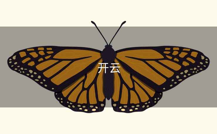 开云