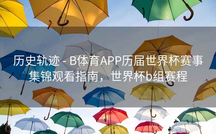 历史轨迹 - B体育APP历届世界杯赛事集锦观看指南，世界杯b组赛程