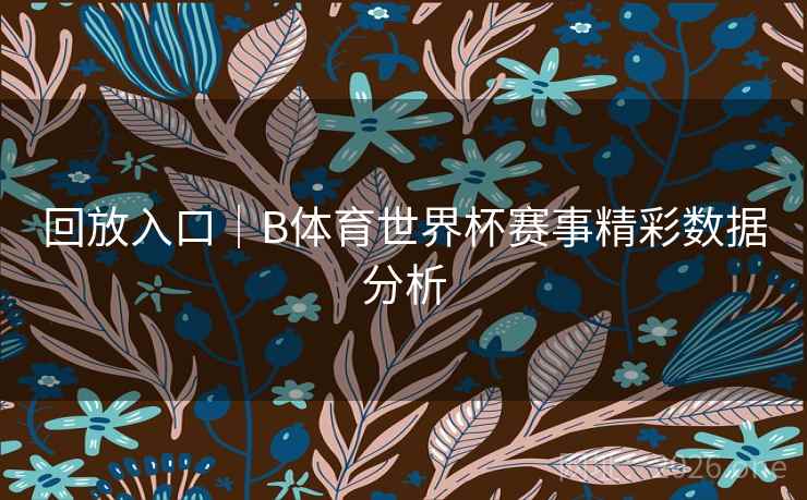 回放入口｜B体育世界杯赛事精彩数据分析
