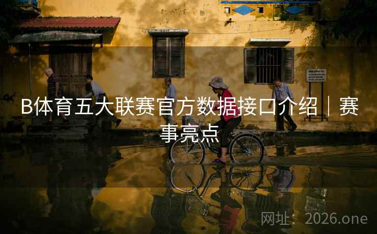 B体育五大联赛官方数据接口介绍｜赛事亮点
