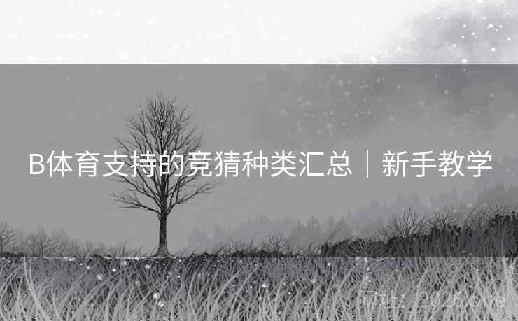B体育支持的竞猜种类汇总｜新手教学