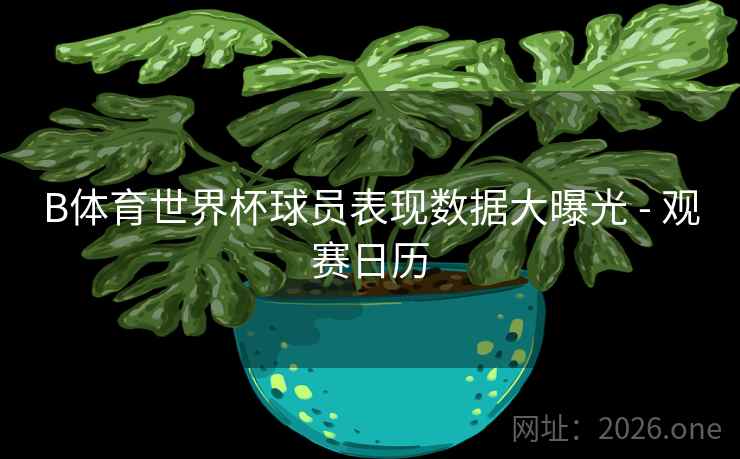 B体育世界杯球员表现数据大曝光 - 观赛日历