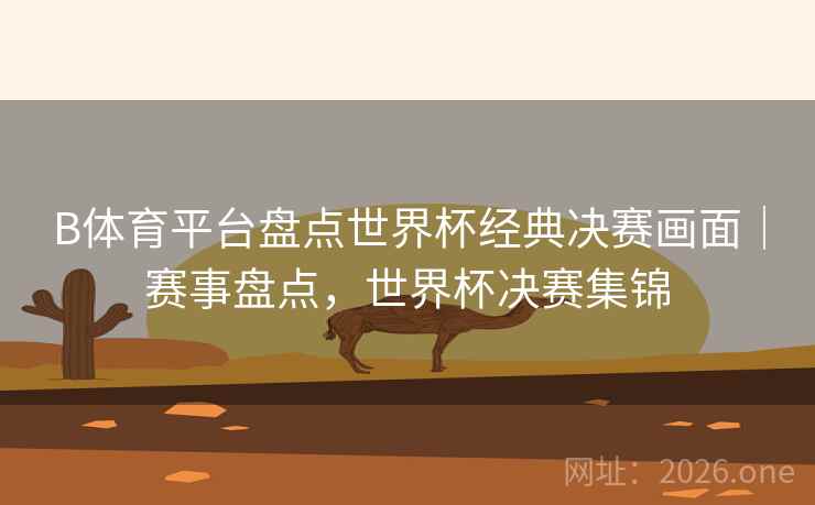 B体育平台盘点世界杯经典决赛画面｜赛事盘点，世界杯决赛集锦