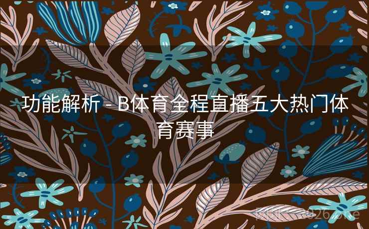 功能解析 - B体育全程直播五大热门体育赛事