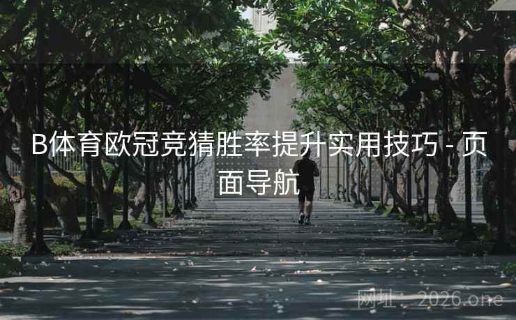 B体育欧冠竞猜胜率提升实用技巧 - 页面导航