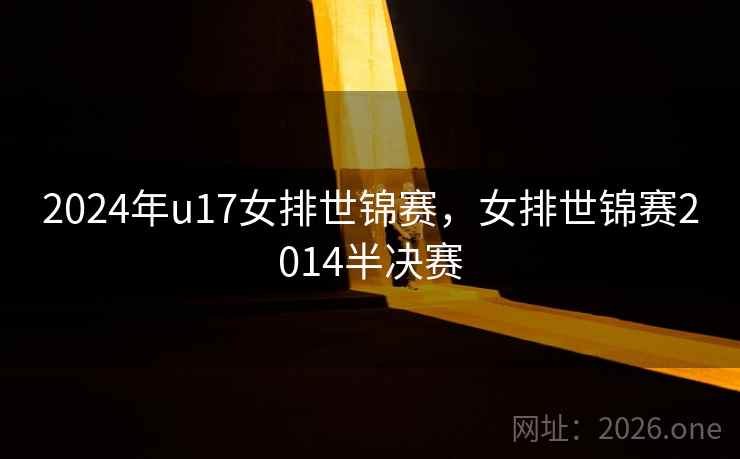 2024年u17女排世锦赛，女排世锦赛2014半决赛