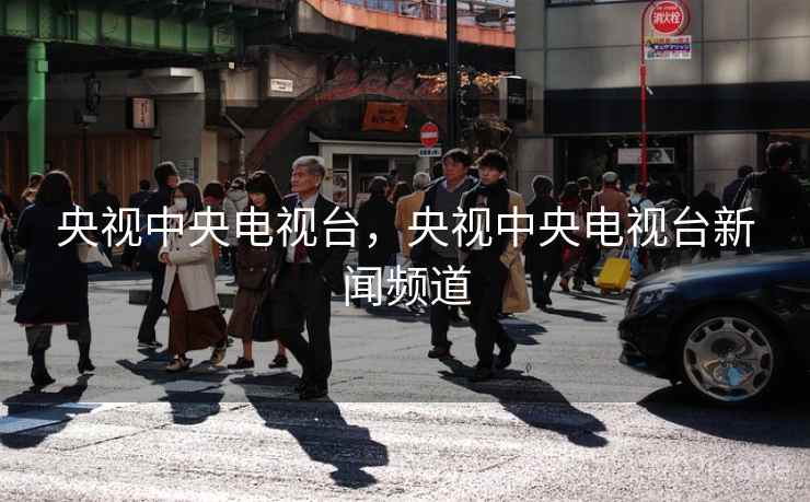 央视中央电视台，央视中央电视台新闻频道