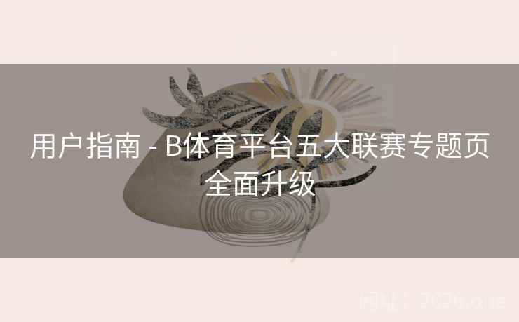 用户指南 - B体育平台五大联赛专题页全面升级