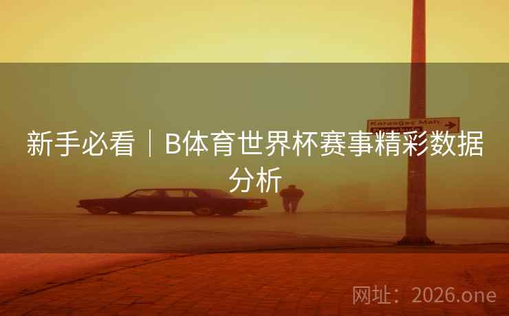新手必看｜B体育世界杯赛事精彩数据分析