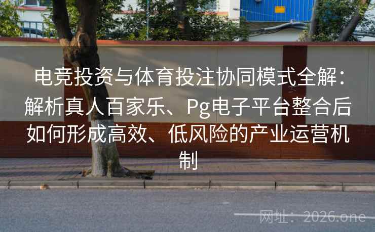 电竞投资与体育投注协同模式全解：解析真人百家乐、Pg电子平台整合后如何形成高效、低风险的产业运营机制