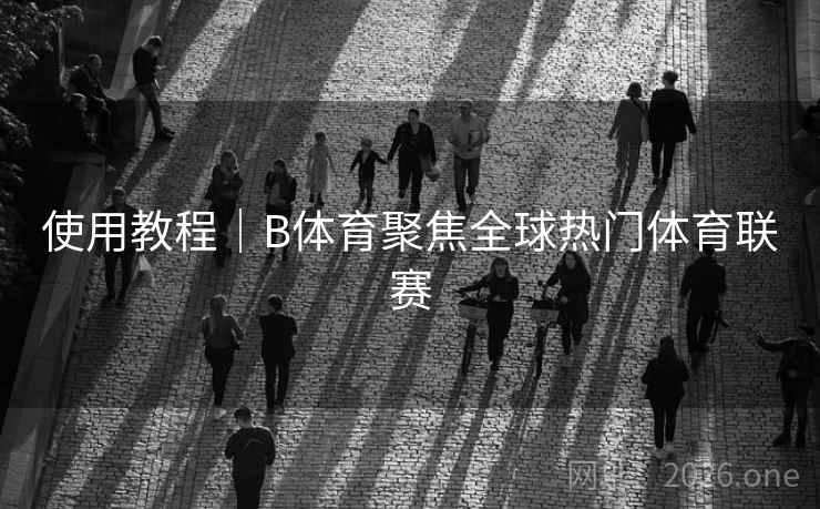 使用教程｜B体育聚焦全球热门体育联赛
