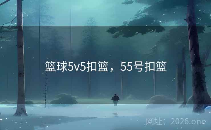 篮球5v5扣篮，55号扣篮