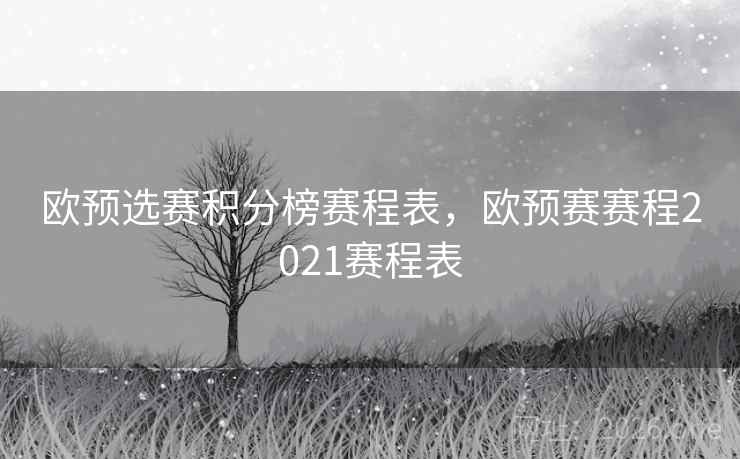 欧预选赛积分榜赛程表，欧预赛赛程2021赛程表