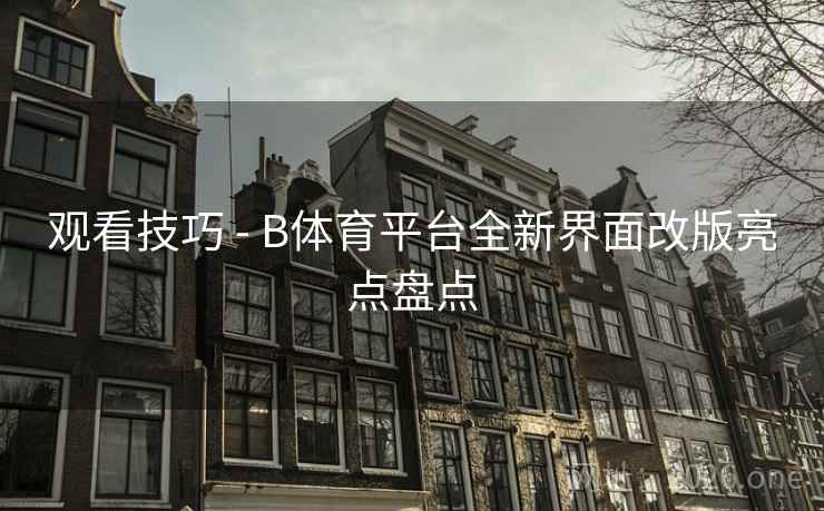 观看技巧 - B体育平台全新界面改版亮点盘点