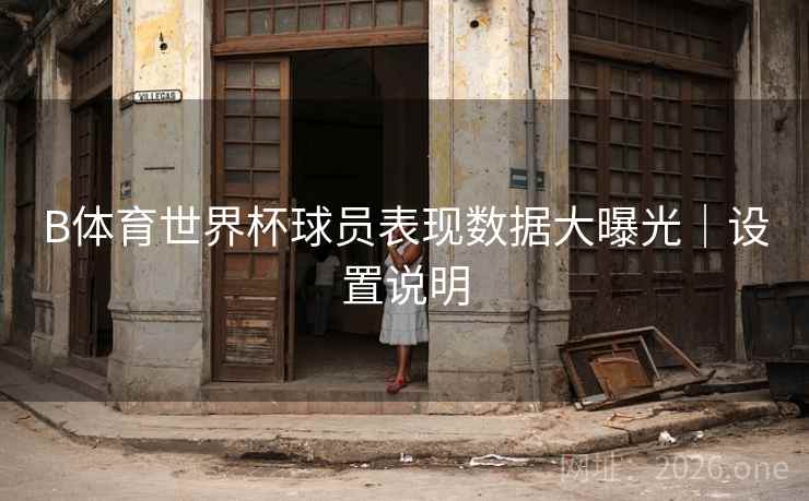 B体育世界杯球员表现数据大曝光｜设置说明