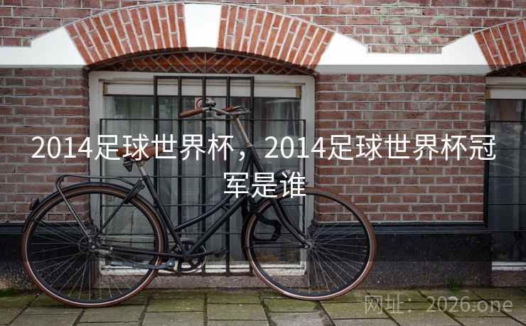 2014足球世界杯，2014足球世界杯冠军是谁