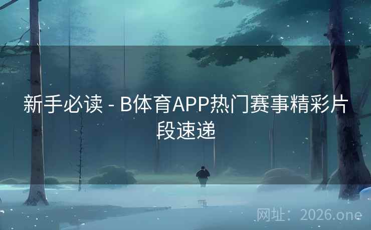 新手必读 - B体育APP热门赛事精彩片段速递