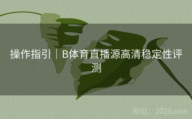 操作指引｜B体育直播源高清稳定性评测