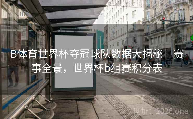 B体育世界杯夺冠球队数据大揭秘｜赛事全景，世界杯b组赛积分表