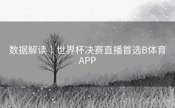 数据解读｜世界杯决赛直播首选B体育APP