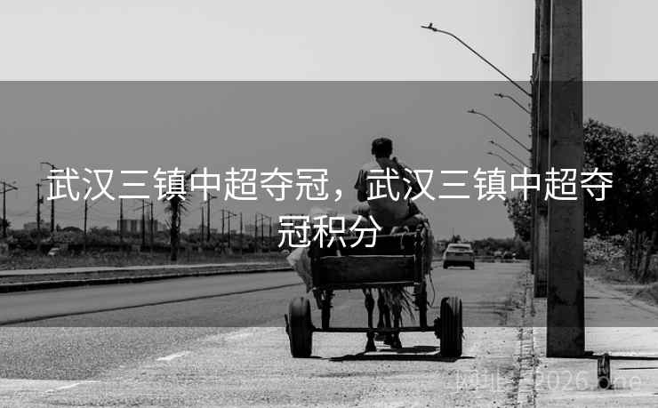武汉三镇中超夺冠，武汉三镇中超夺冠积分