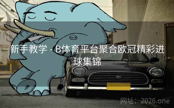 新手教学 - B体育平台聚合欧冠精彩进球集锦