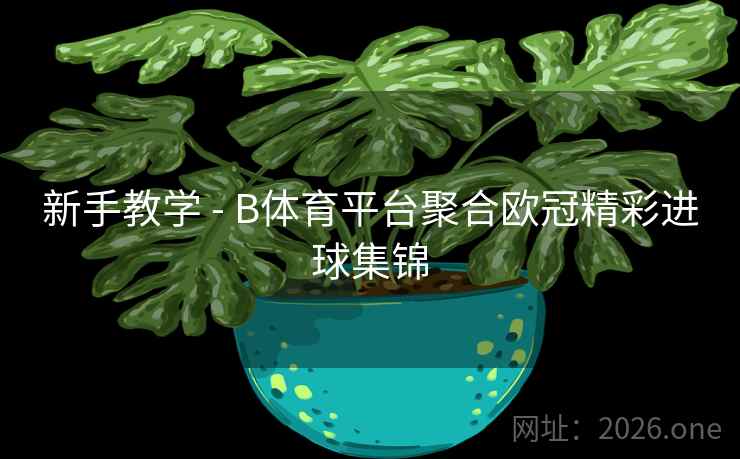 新手教学 - B体育平台聚合欧冠精彩进球集锦